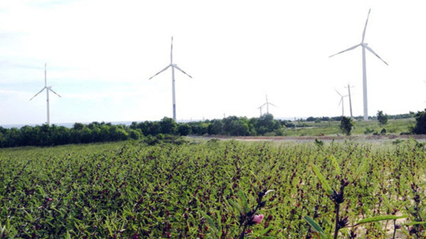  Điện gió chưa hấp dẫn